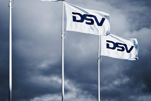 DSV - Flag