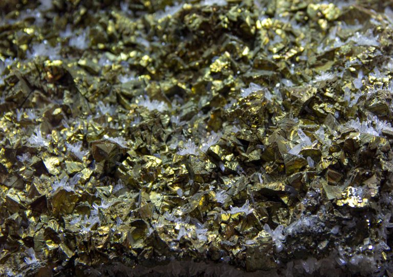 Alkane finder høj guld-antimon-grad ved True Blue i Australien